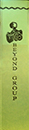 beyond_group_green_ribbon